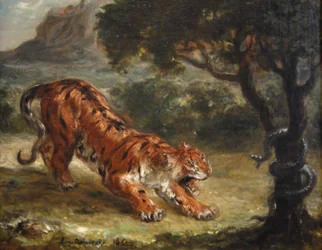 Tiger and Snake